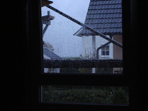 21. Oktober 2008: Blick aus der Kche - Regen.